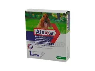 Ataxxa Spot On für riesige Hunde über 25 kg (1 x 4,0 ml)Zur Behandlung und Vorbeugung von Flohbefall